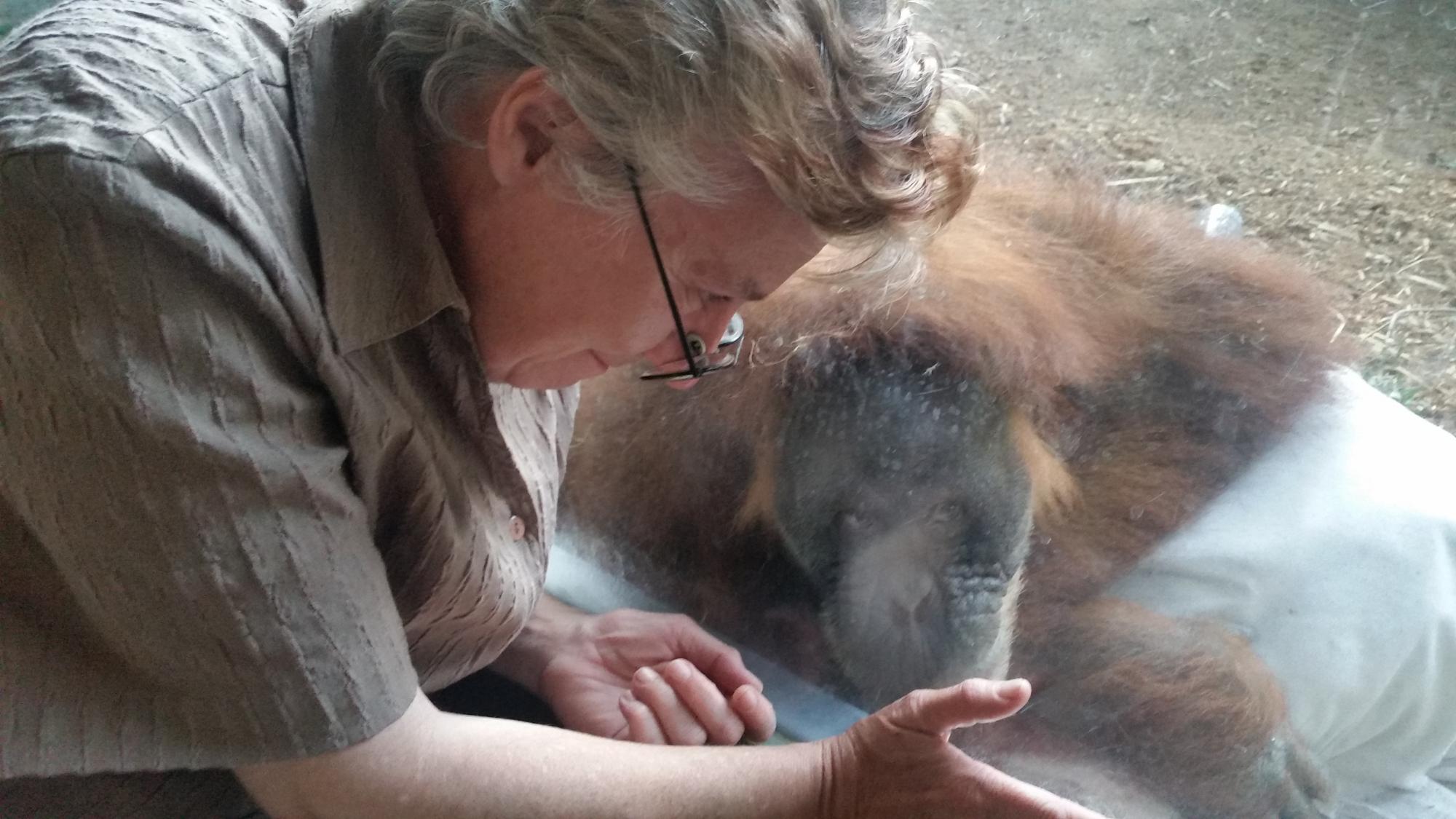 [Image: 11a5_62ab.jpg?c=dc46]